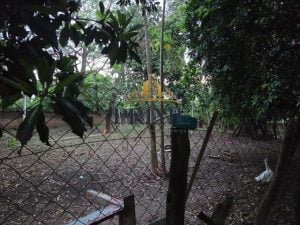 Chácara A Venda — foto 7