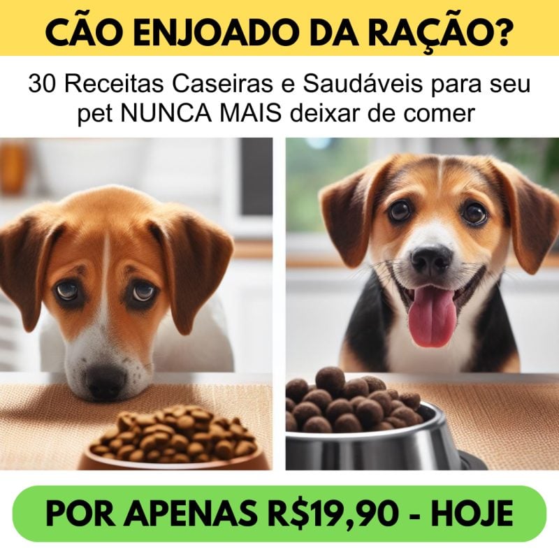 30 Receitas Caseiras para seu Pet: Petiscos Saudáveis e Deliciosos