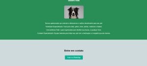 Criação de Sites Profissionais e Landing Pages que Vendem — foto 14