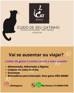 Cat Sitter (Babá de Gatos) — foto 3