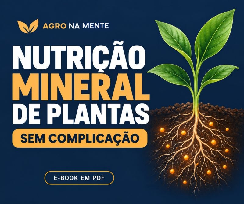 E-book Nutrição Mineral de Plantas Guia para Agronomia