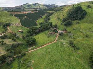 Vendo sítio/chácara em Bueno Brandão MG 4,51 ha 45.100 m² ótimo acesso direto com proprietár — foto 14