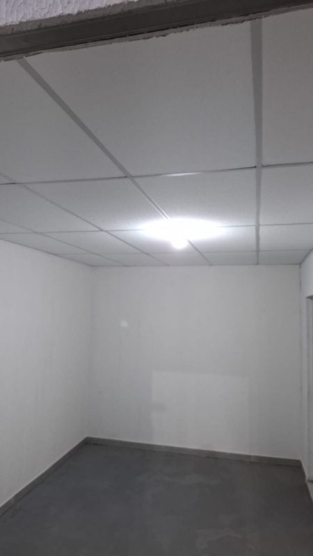 Pintor profissional