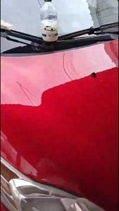 Resina Extreme Brilho Intenso e Proteção para Carro, Moto e Caminhão Pague na Entrega — foto 10