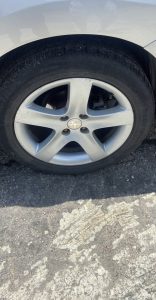 408 Feline — foto 10