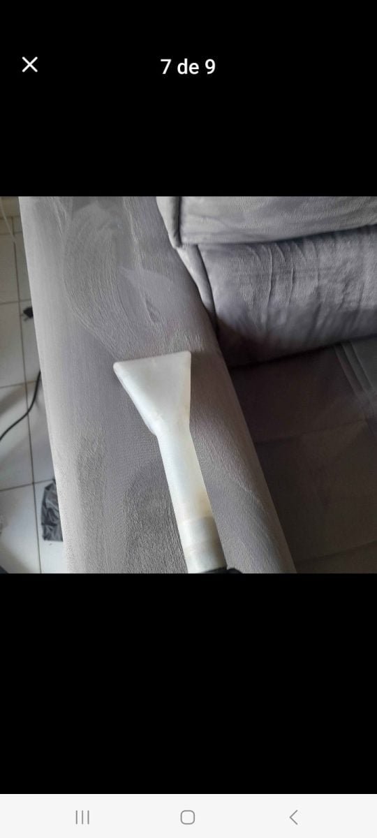 Higienizacão a seco — foto 2