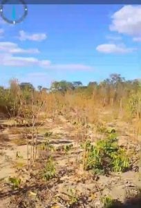 Chácara a venda no município de chapada da Natividade — foto 3