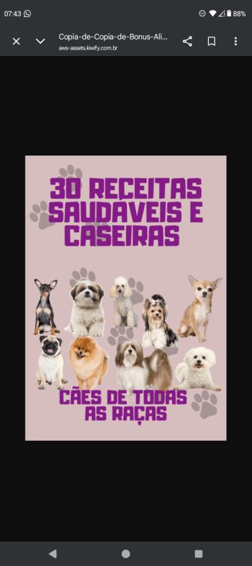  30 Receitas Saudáveis para Cachorros Alimentação Natural para seu Pet