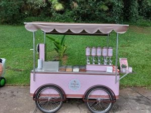 Carrinhos de churros gourmet novo com curso de churros modelo Idealmaq — foto 6