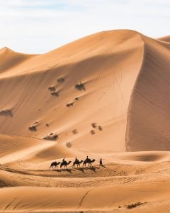 10 Dias de Excursão pelo Deserto a Partir de Casablanca — foto 13