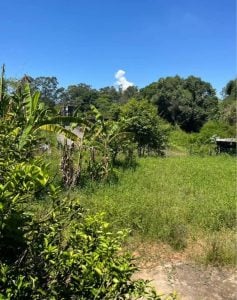 VENDO SÍTIO EM QUEIMADOS ÁREA RURAL 1.080m2 — foto 8
